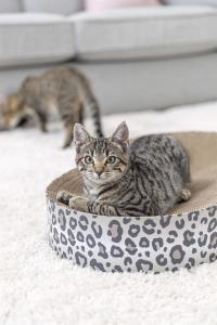 Klösbädd Leo 63c10c35cm Creme