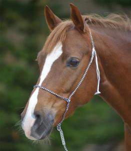 Repgrimma Waldhausen Svart/Vit