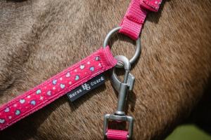 Grimma Love Fruit Dove