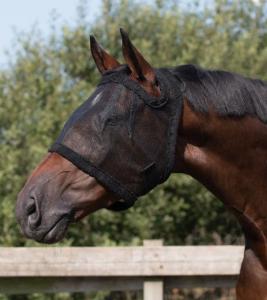 Flughuva Utan Öron QHP Svart