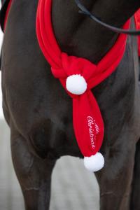 Julhalsduk HG Röd One Size