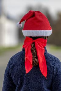 Julrosett HG Röd One Size