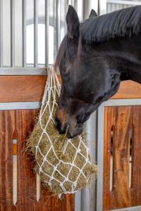 Hönät HG Bomull One Size Off-white