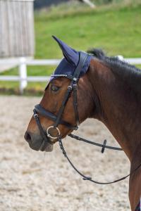 Ridhuva Glitter HG Navy/Rosa