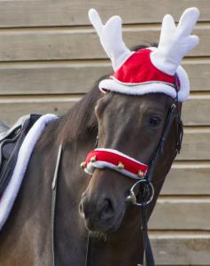 Renluva Till Häst Röd Shetland