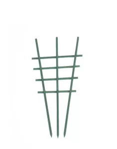 Krukspaljé trä grön