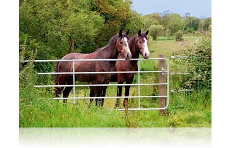 Grind Stål Teleskop