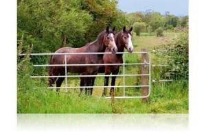Grind Stål Teleskop