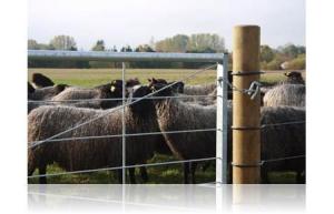 Grind Lättvikt H90cm