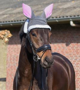 Ridhuva Påskhare Grå