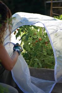 Fiberduk Pallkragebåge öppning 120x80cm