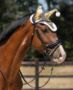 Ridhuva Jultomte QHP Guld