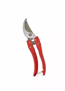 Papegojsekatör 21cm