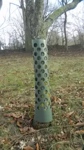 Gnagskydd Anti-Knabb