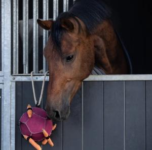 Hästleksak Boll Multi