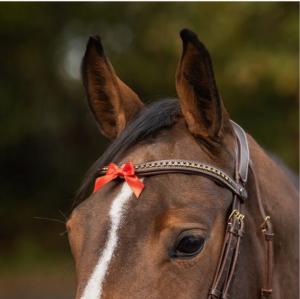 Varningsrosett Liten För Pannlugg Röd