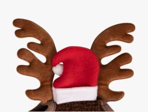 Ridhuva Julren Utan Öron QHP Brun/Röd Ponny