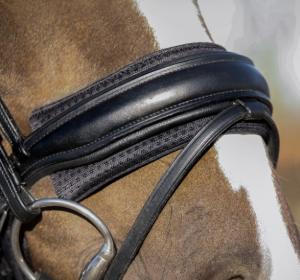 Padd Till Nosgrimma Air Mesh Qhp Svart Ponny