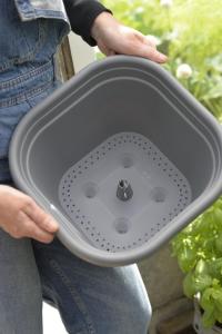 Tomatkruka med vattenbehållare