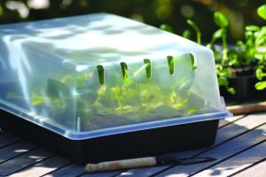 Lock Odlingstråg Solid 24x38cm