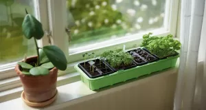 Minidrivhus Window 24 Krukor