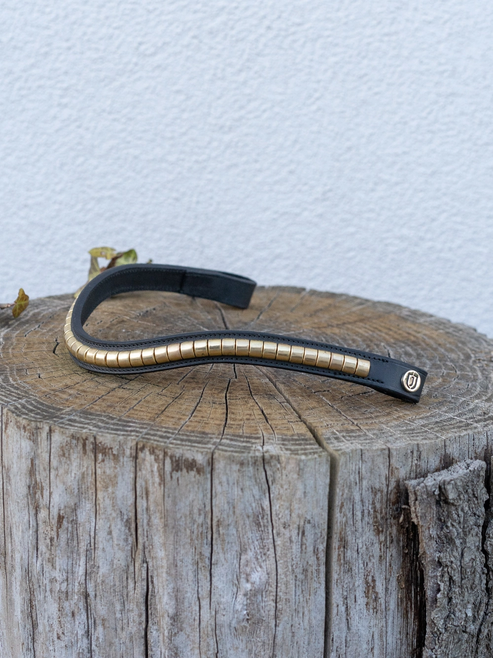 Pannband Cambridge Jacson, Brun