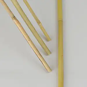 Bambukäpp