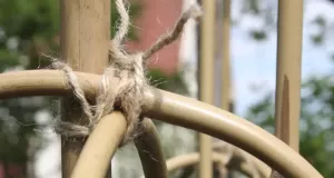 Bambubåge