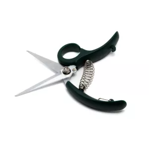 Kryddsax Kökets 15cm