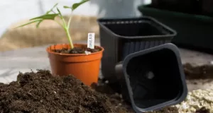 Sticketiketter m penna 40-p