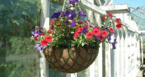 Trådampel Rund 35cm Svart