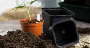 Sticketiketter färgade 40-p