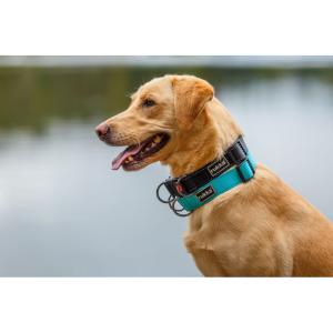 Hundhalsband Bliss Svart