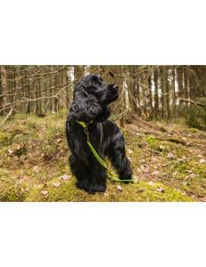 Koppel Grip Neon Gul 15mm x 180cm