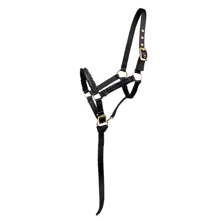 Fölgrimma Ofodrad Svart