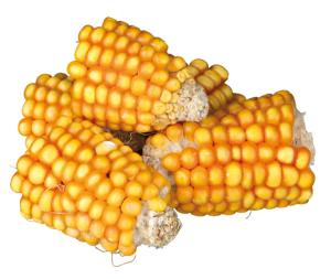 Majskolvar i Bitar 300g