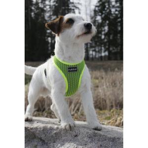 Hundsele Comfort Air Neongul