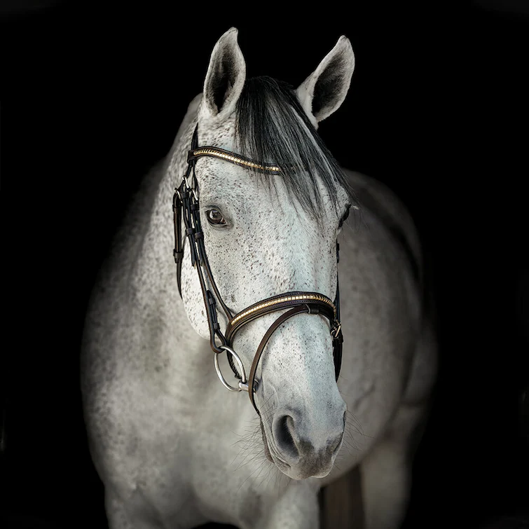 Träns Aachen HS Clincher Brun/Mässing