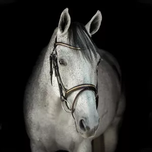 Träns Aachen HS Clincher Brun/Mässing