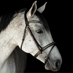 Träns Aachen HS Clincher Brun/Mässing