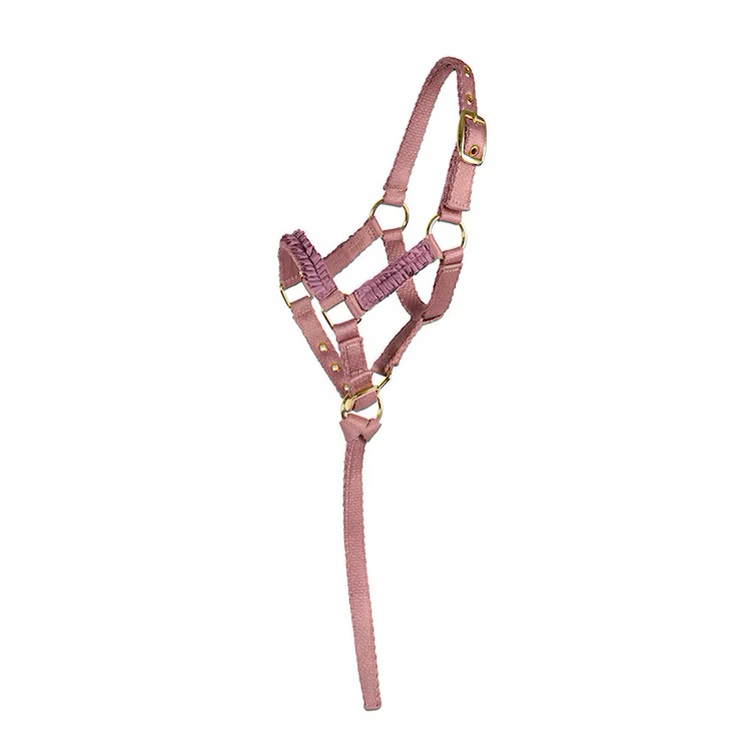 Fölgrimma Ofodrad Rosa