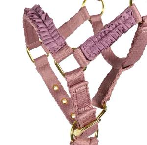 Fölgrimma Ofodrad Rosa