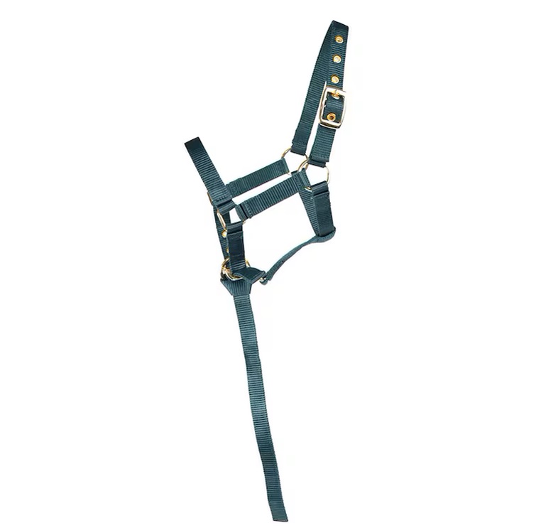 Fölgrimma HS Basic Grön