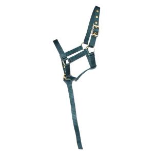 Fölgrimma HS Basic Grön