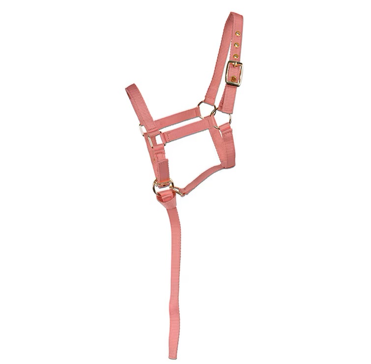 Fölgrimma HS Basic Rosa