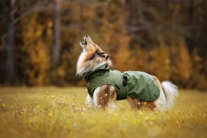 Hundtäcke Streamy Eco Regn Grön