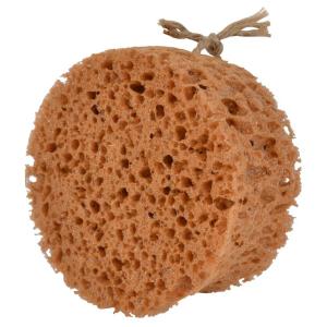 Groomingsvamp Borstiq Rund