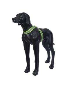 Reflexband Note Body Band Rukka