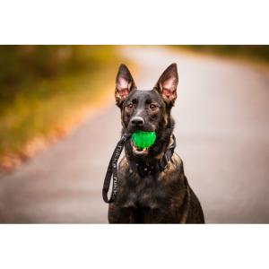 Hundleksak Boll Med Handtag Grön