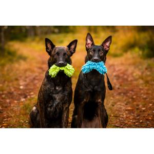 Hundleksak Fluffy Grön